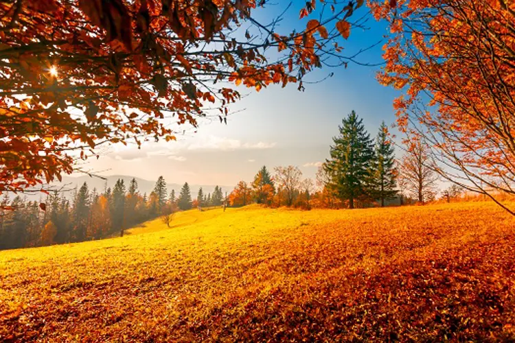 Bunte Herbstlandschaft