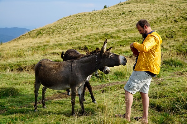 Ein Mann in der Natur fotografiert einen Esel
