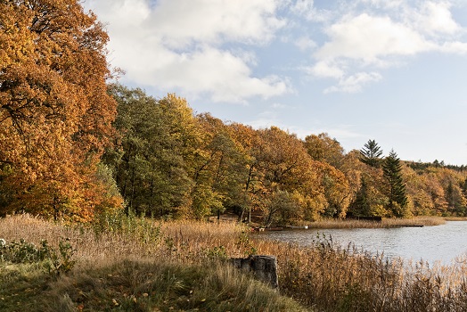 See in der Nähe von Silkeborg, Dänemark