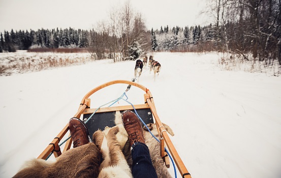 Hundeschlittentour in Finnland
