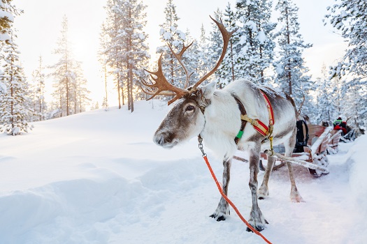 Rentiersafari in Finnland