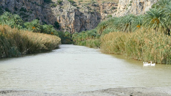 Palmenstrand Preveli, Kreta
