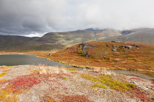 Wilde Natur des Sarek Nationalparks in Schweden