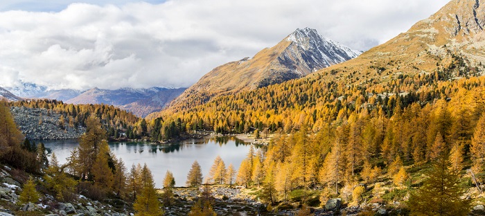 Schweizerischer Nationalpark