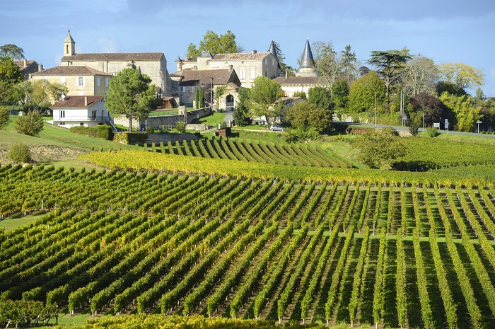 Weinberge in Saint-Émilion, Bordeaux
