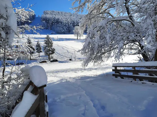 Baiersbronn_530-793088