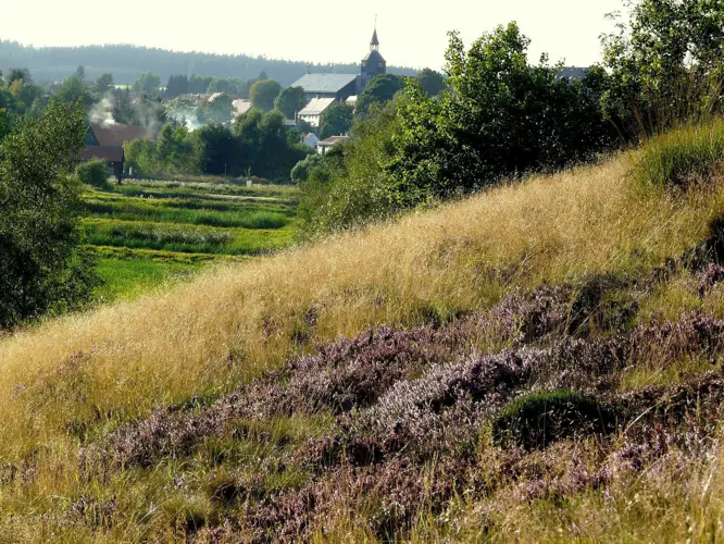 Benneckenstein_530-497031