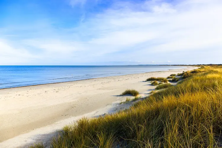 Blick auf den Strand von Aalbæk