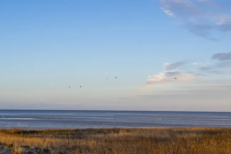 Coast of Djursland