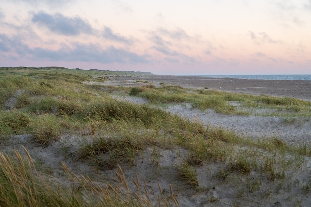 Dünen im Nationalpark Thy