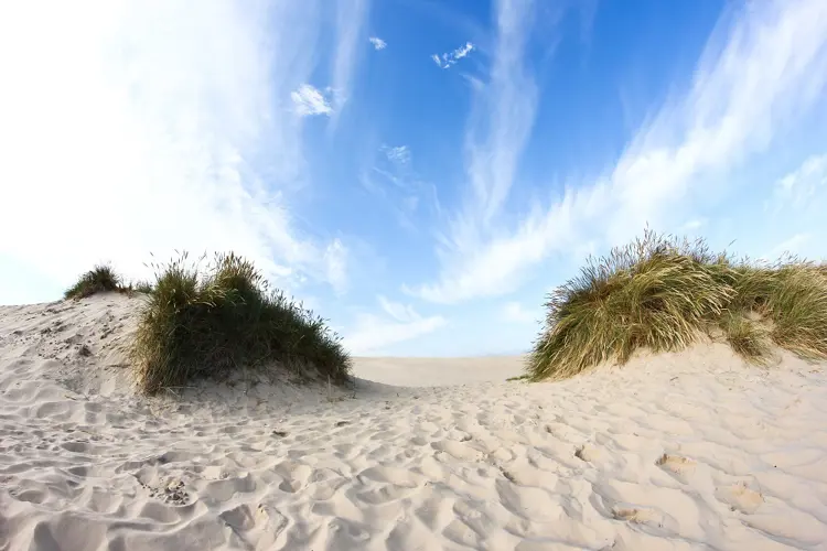 Düne in Dänemark