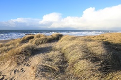 Dünen in Agger, Thy, Dänemark