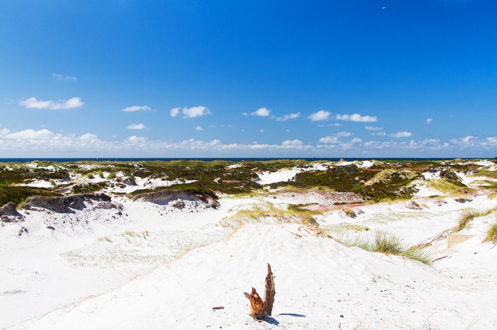 Dünen von Dueodde im Süden der Insel