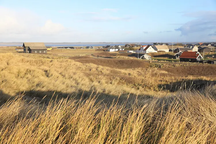 Dünenlandschaft in Agger, Dänemark