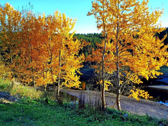 Elbingerode_530-398586