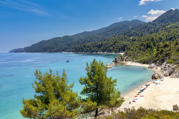 Blick auf den Fava Strand auf Sithonia