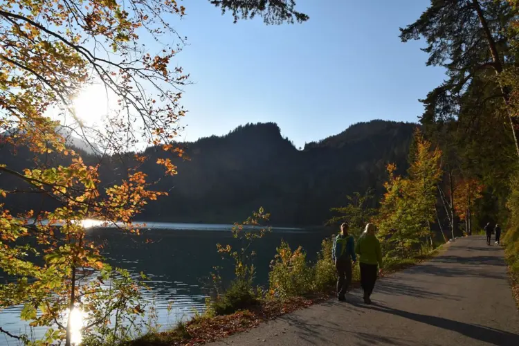 Ferienhaus Forggensee 512-2777591