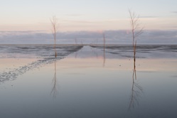 Footpath to Island Mandø under Water, Denmark