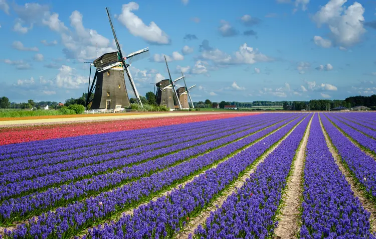 Holland_Depositphotos_62103021_S