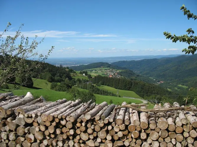 Horben_ 512-2679336