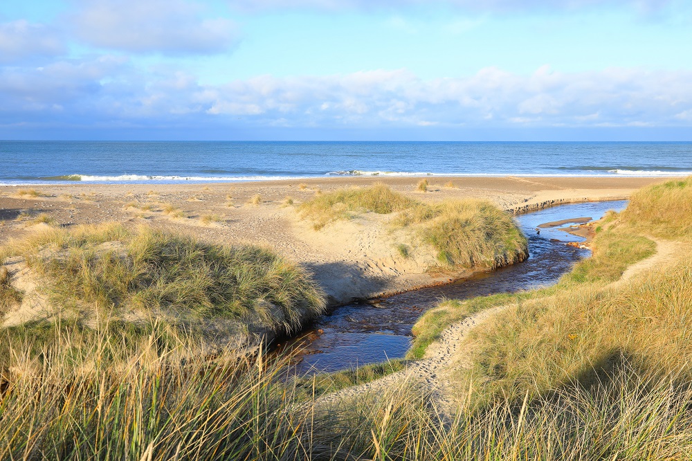 Strand in der Nähe von Klitmoller im Thy National Park
