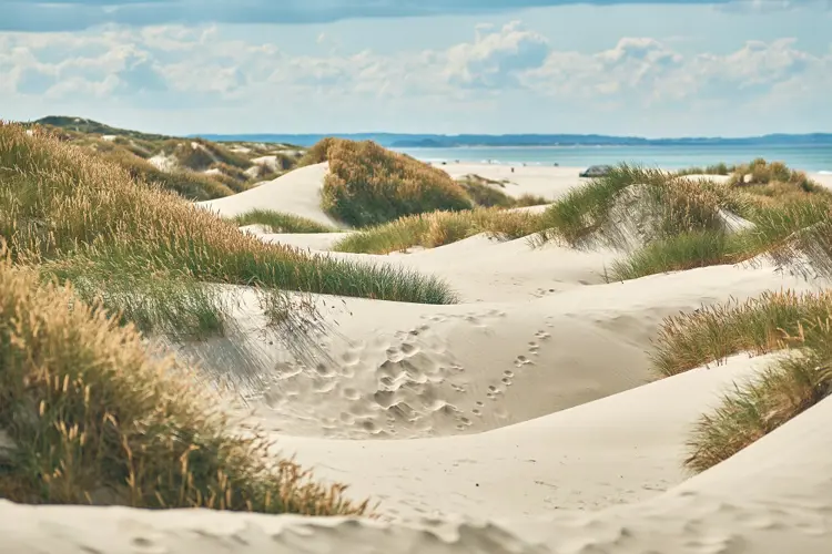 Jammerbucht in Dänemark