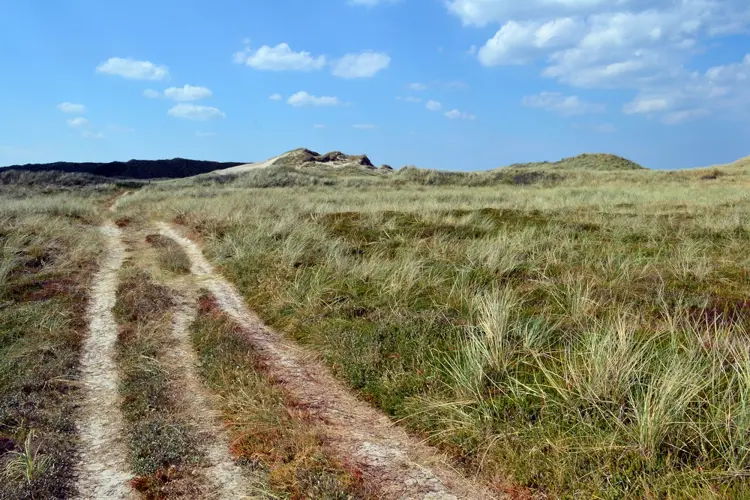 Küstenlandschaft im Nationalpark Thy, Nordjütland