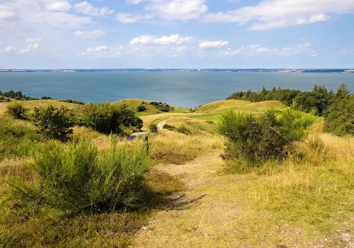 Landscape at the Limfjord in Denmark