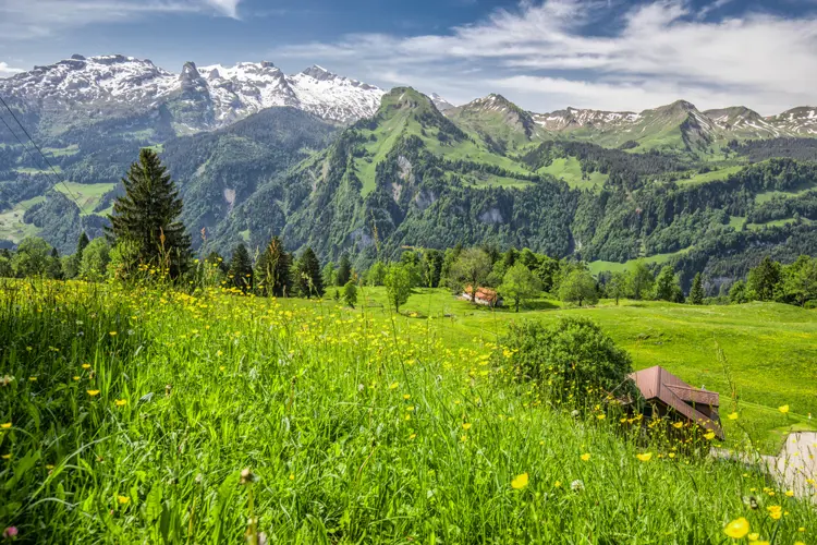 Landschaftspanorama bei Ilgau