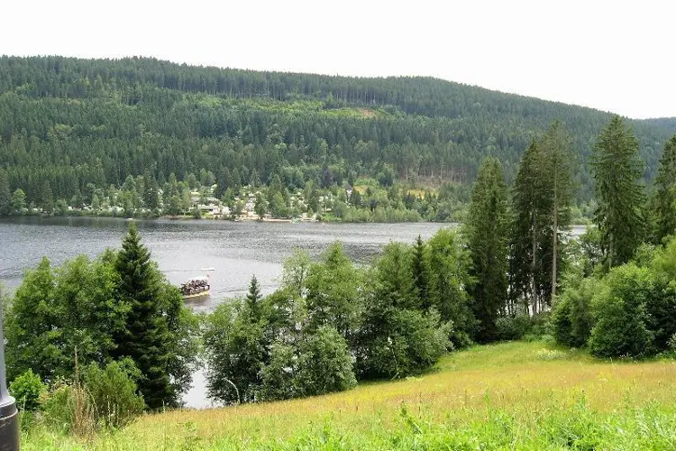 Lenzkirch_512-2719631