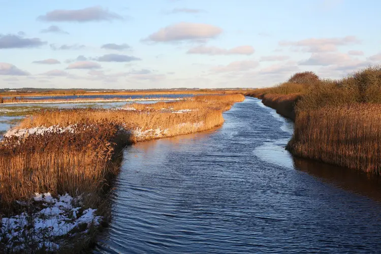 Limfjord Dänemark
