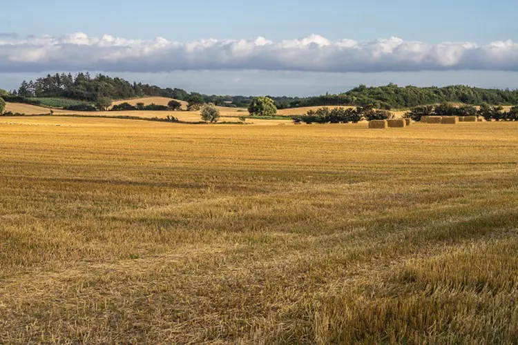 Natur auf Langeland