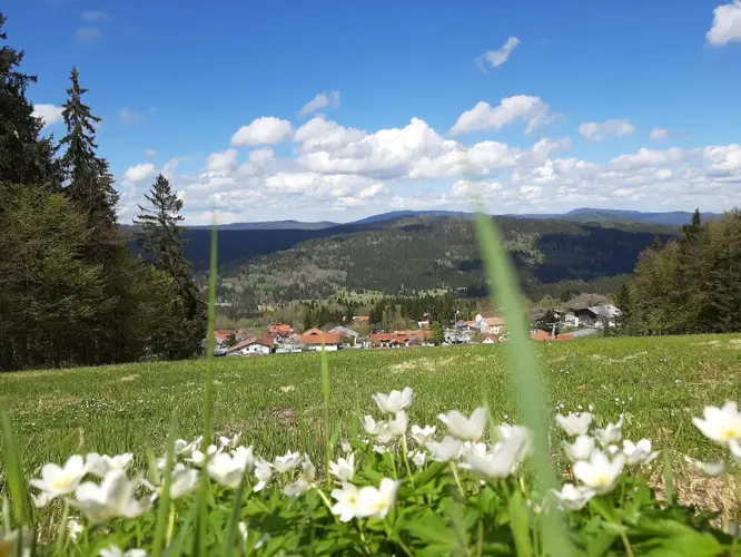 Niederbayern_530-913347