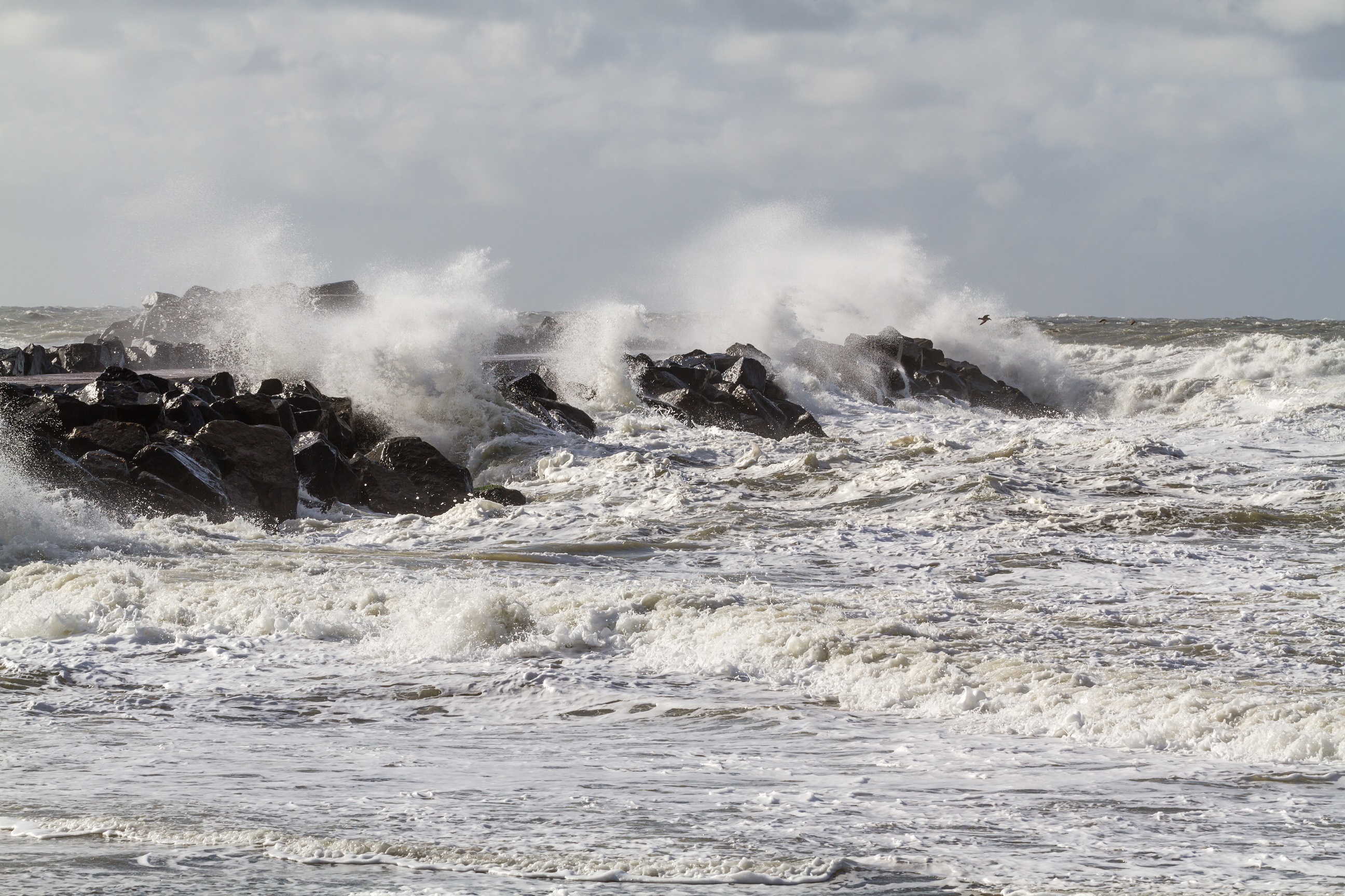 Nordsee Buhne Hvide Sande Dänemark