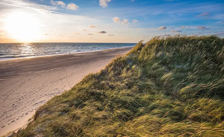 North sea beach, Jutland coast in Denmark