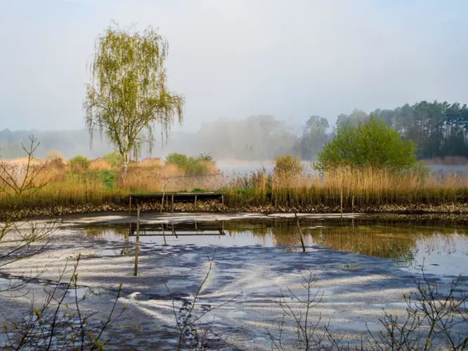 Oberpfälzer Seenland_530-346452