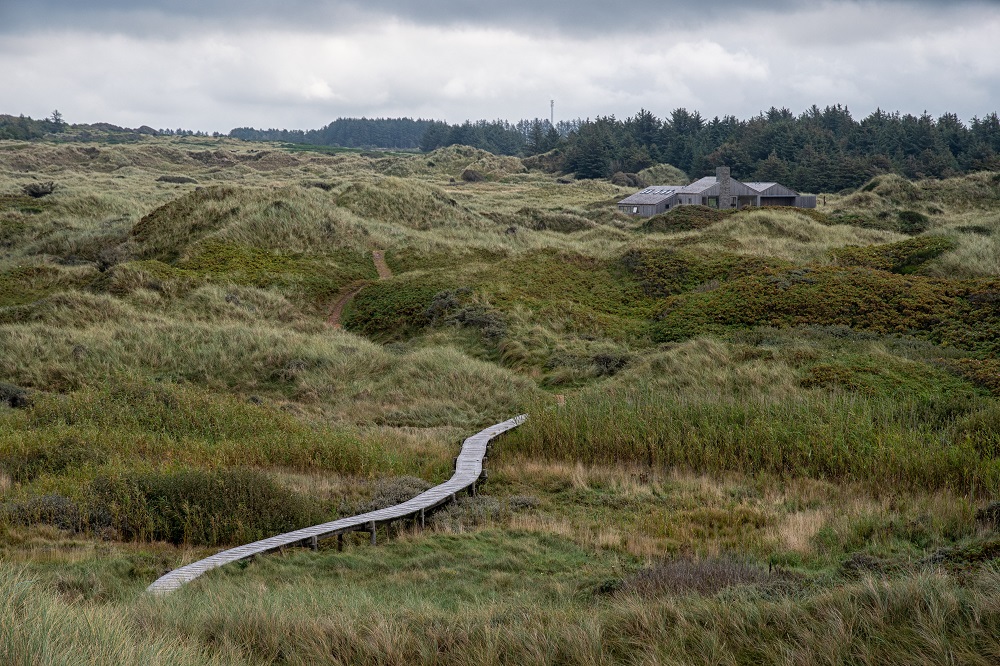 Promenade durch die Dünen in Lille Norge in Saltum in Dänemark