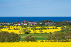 Blick auf Kuehlungsborn mit Rapsfeldern im Vordergrund