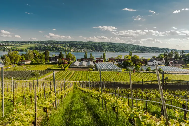 Reichenau_Depositphotos_478853380_S