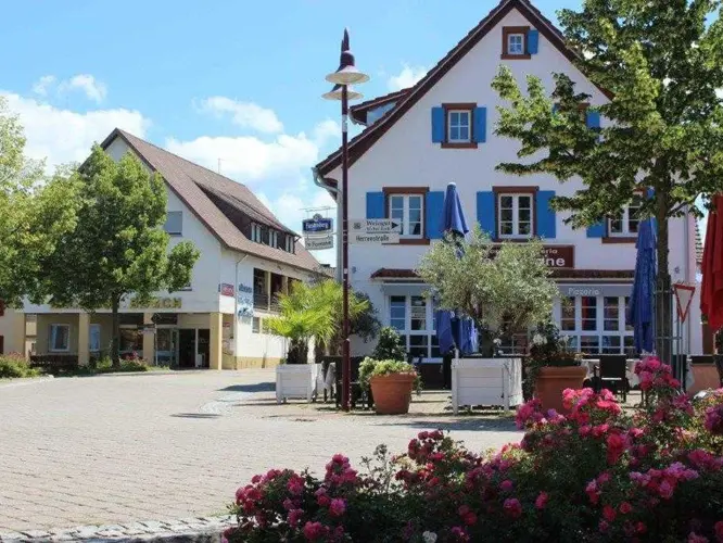 Ringsheim_530-660925