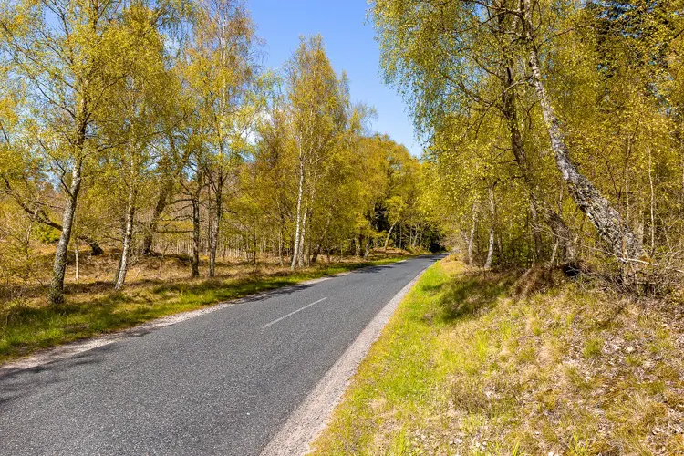 Road to Tversted Stock mill