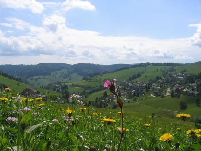 Südschwarzwald_530-282821