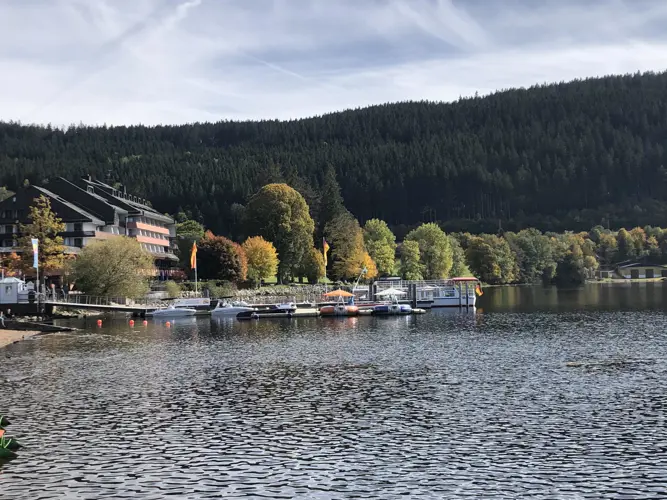 Schönwald im Schwarzwald_512-3029686