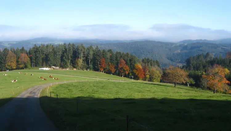 Schonach im Schwarzwald_ 512-3048610