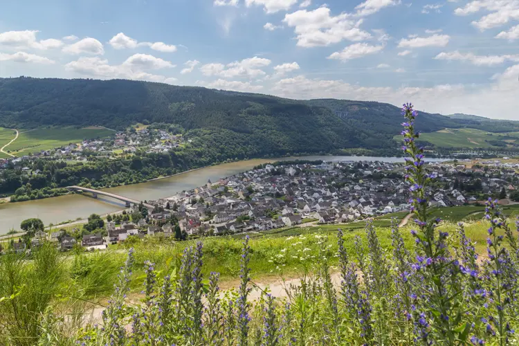 Schweich_Depositphotos_203677980_S
