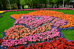 Selbstporträt von vincent van gogh aus tausend Tulpen und Traubenhyazinthen am Keukenhof
