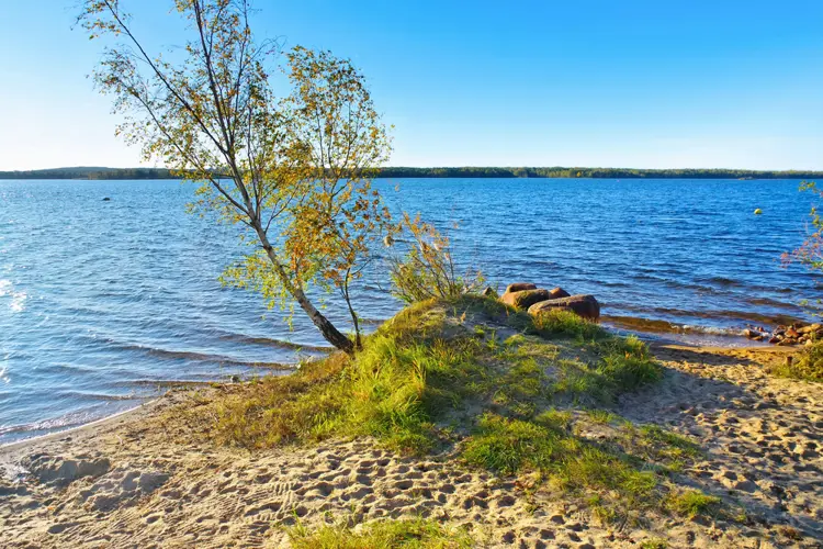Senftenberger See