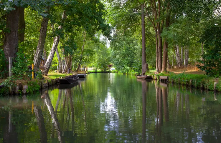Spreewald_Depositphotos_210718996_S