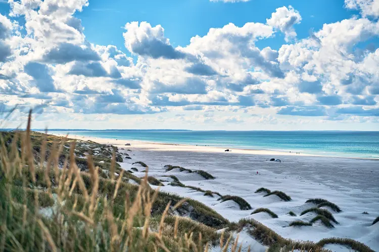 Strand von Saltum
