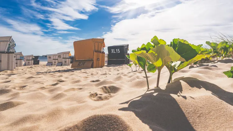 Strandkörbe am Strand von Usedom